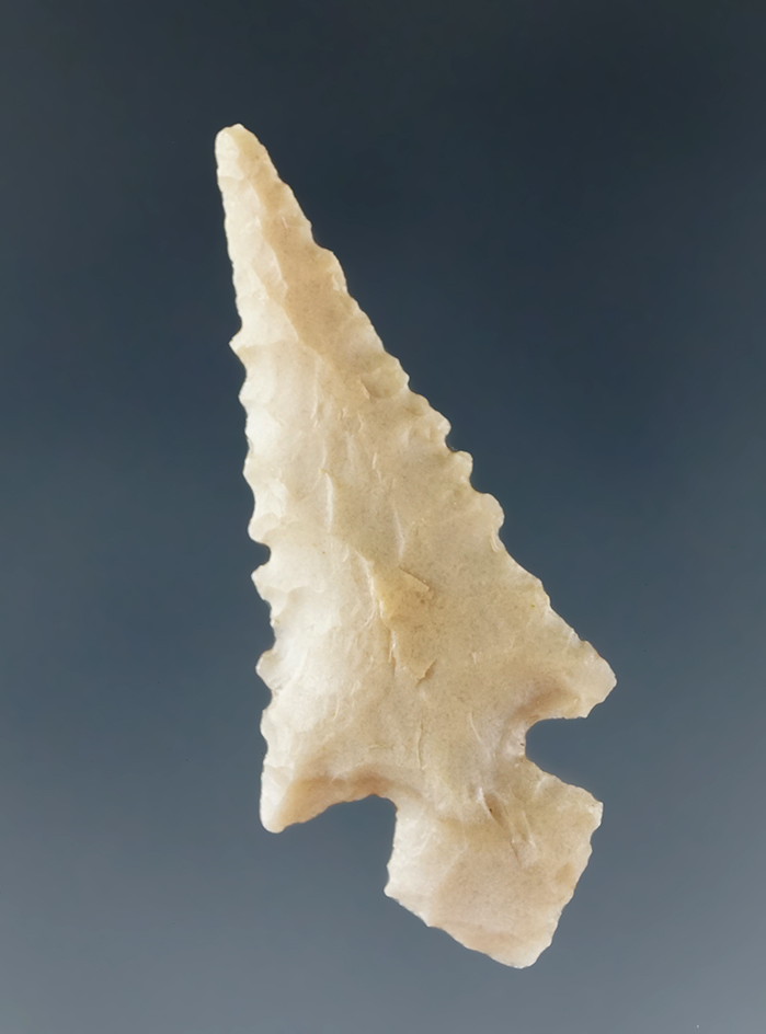 1 3/8" nicely serrated Alba point found in Texas.