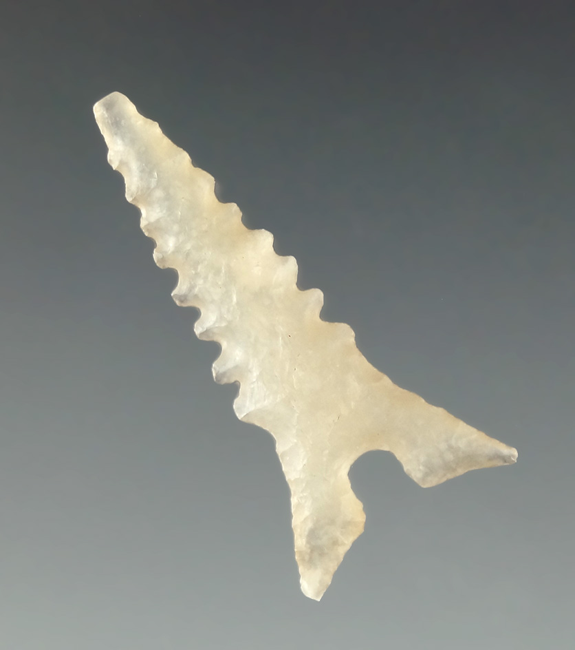 Incredibly well styled 1 1/16" Garza found in Texas by Kaye Don Bruce.