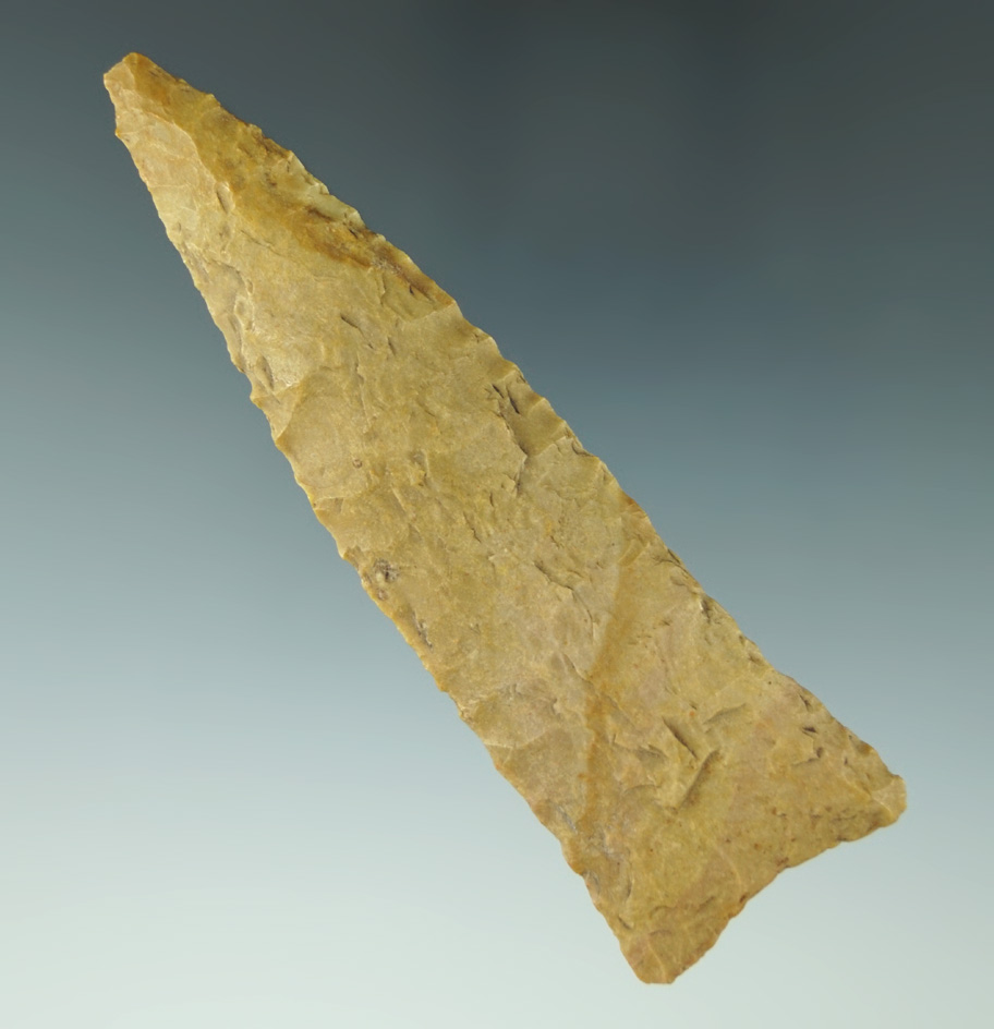 Sale highlight! Very rare! 3 15/16" Paleo Allen found in Butler Co., Missouri.