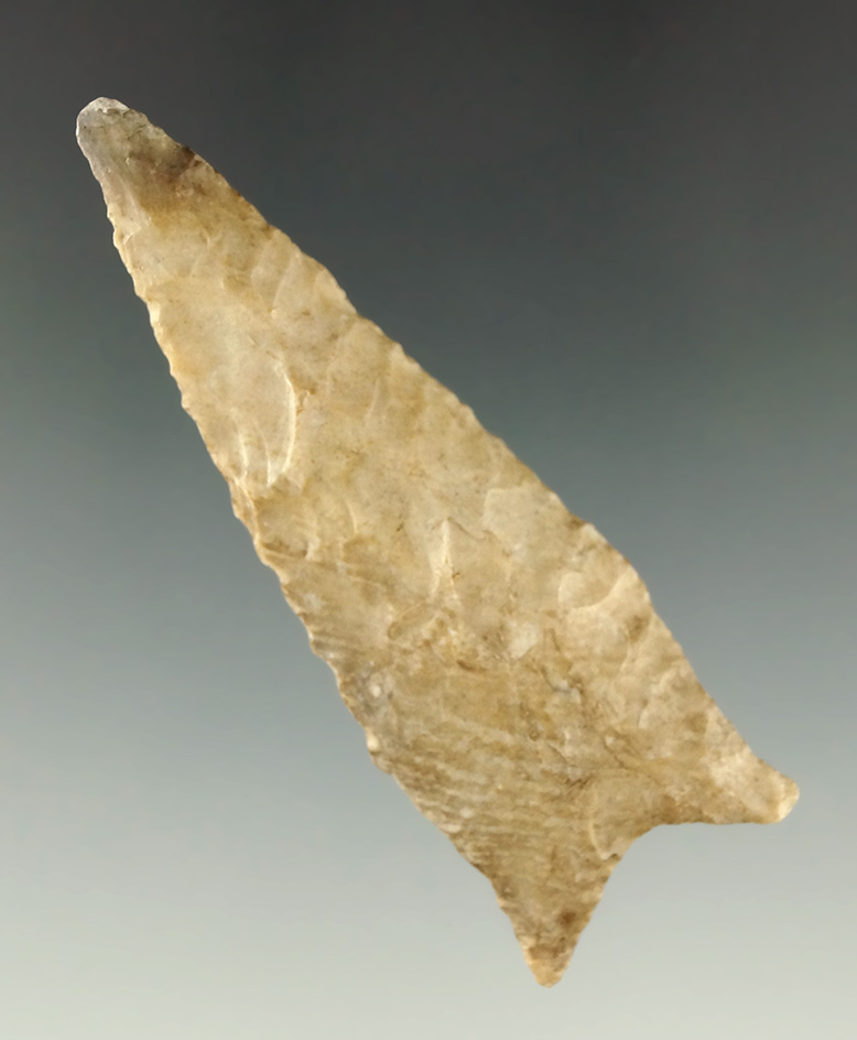 2 3/8" Dalton found in Missouri.