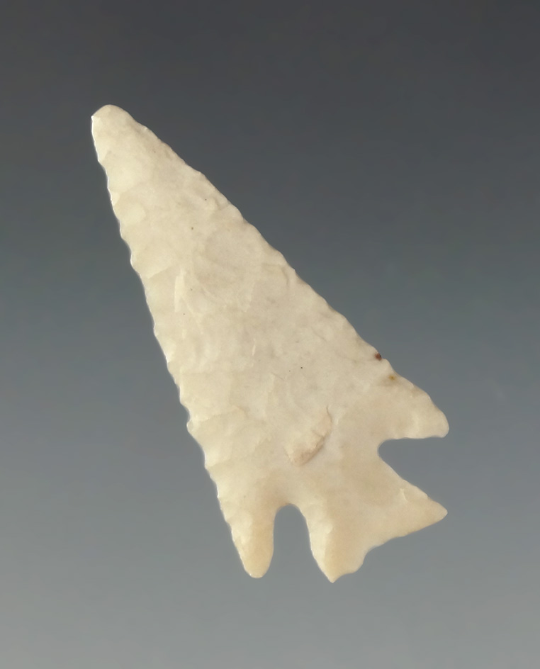 1 1/4" Scallorn found in North East Texas. Pictured in Overstreet, 15th Edition, page 645.