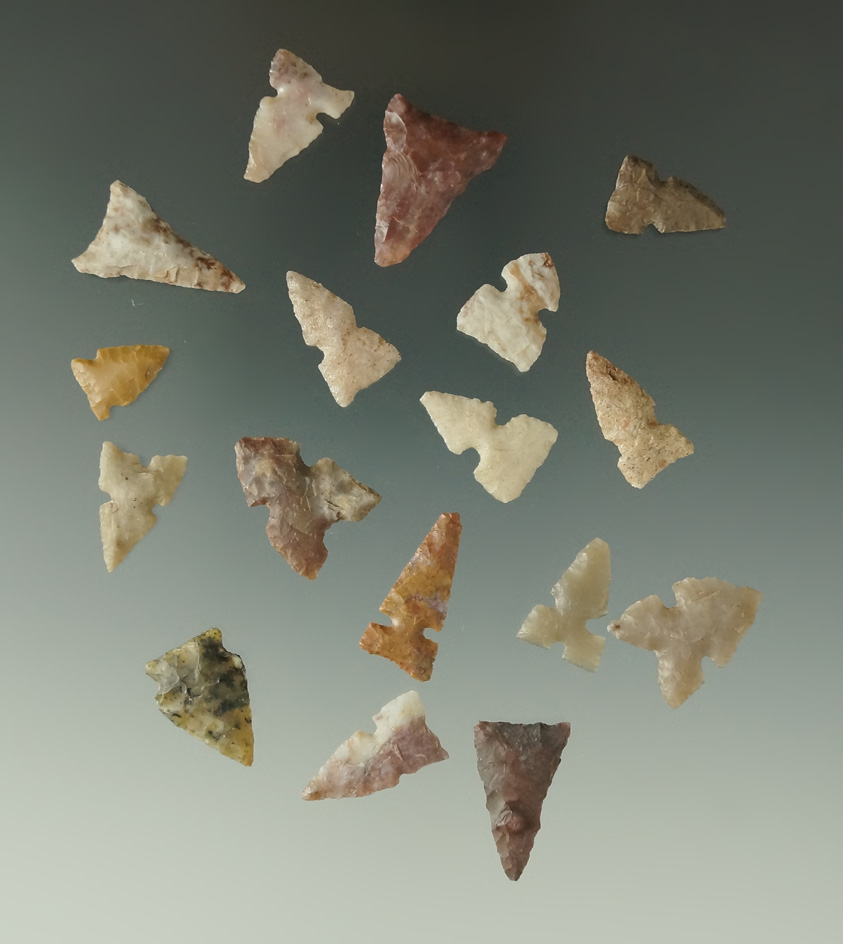 Group of 17 assorted Birdpoints found in Texas, largest is 7/8".