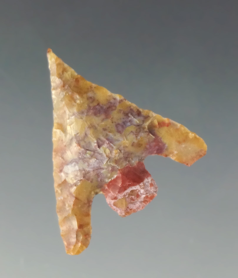 1 1/8" Shumla found in West Texas. Pictured in Overstreet, 15th Edition, page 650.