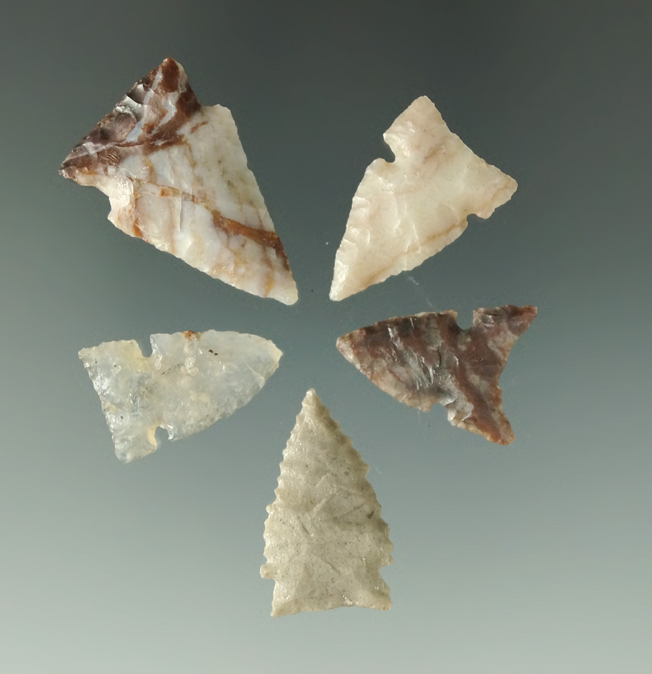 Set of five assorted arrowheads found in Colorado, Montana and Texas. Largest is 1 3/16".