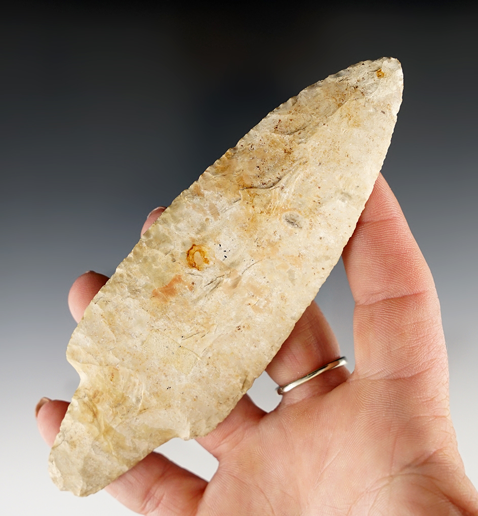 5 3/16" beautifully flaked Adena found in southern Illinois with minor modern retouch to tip area.