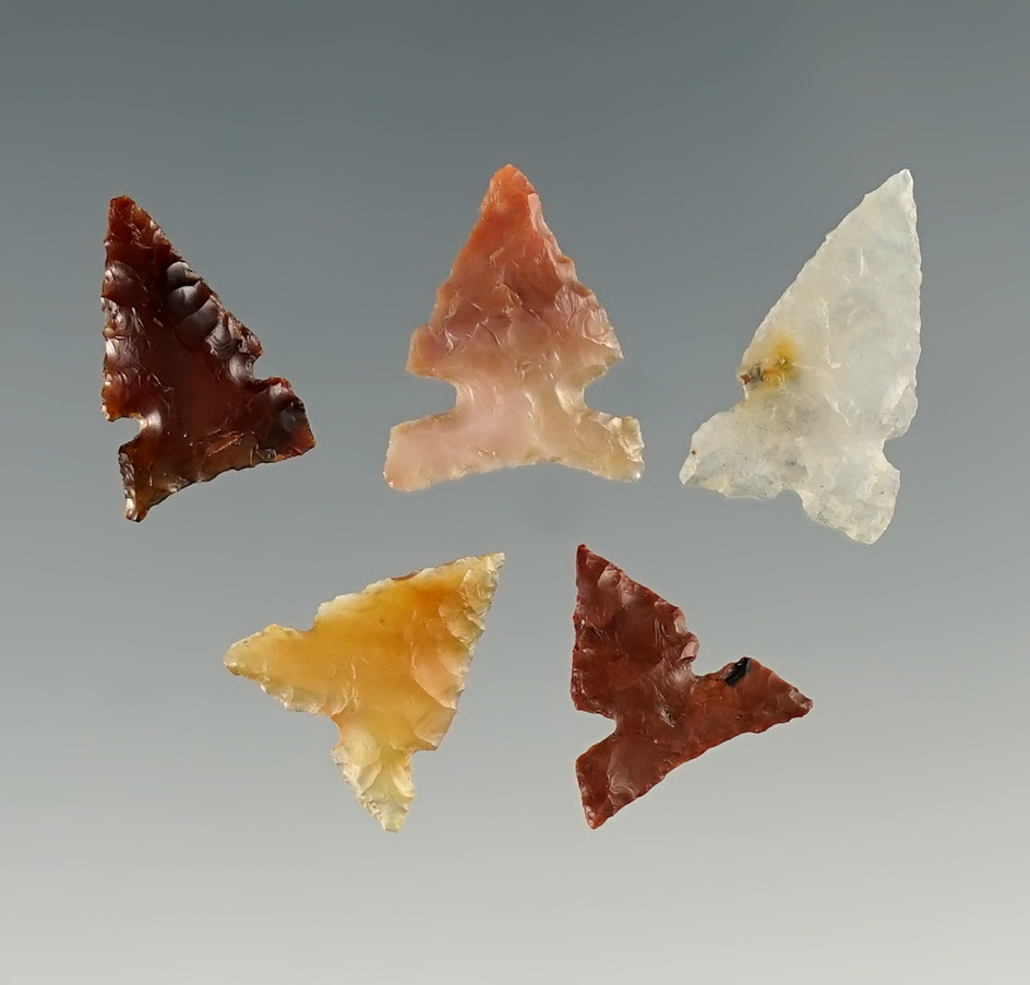 Set of five assorted Columbia River arrowheads. Largest is 3/4".