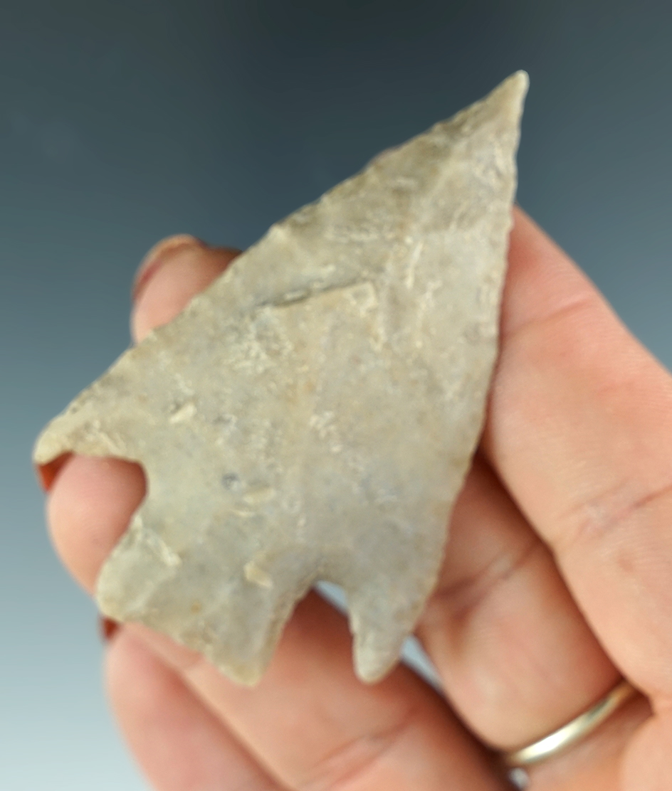 2 1/2" Marshall Point with a needle tip found in Texas.