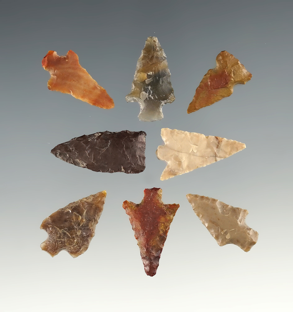 Set of eight assorted Columbia River arrowheads. Largest is 1".