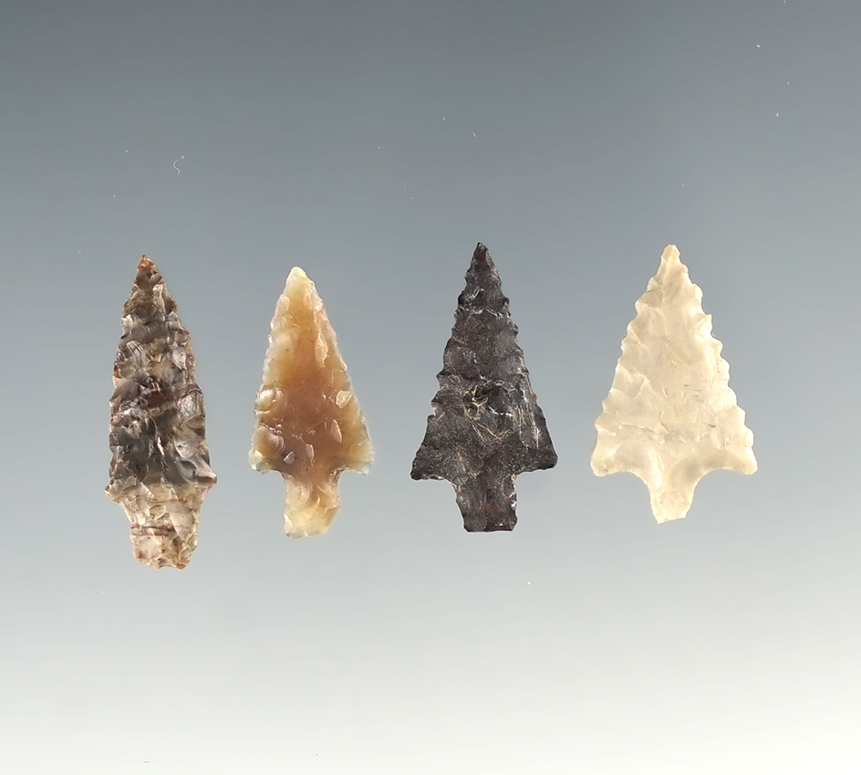 Set of four assorted Columbia River arrowheads. Largest is 7/8".