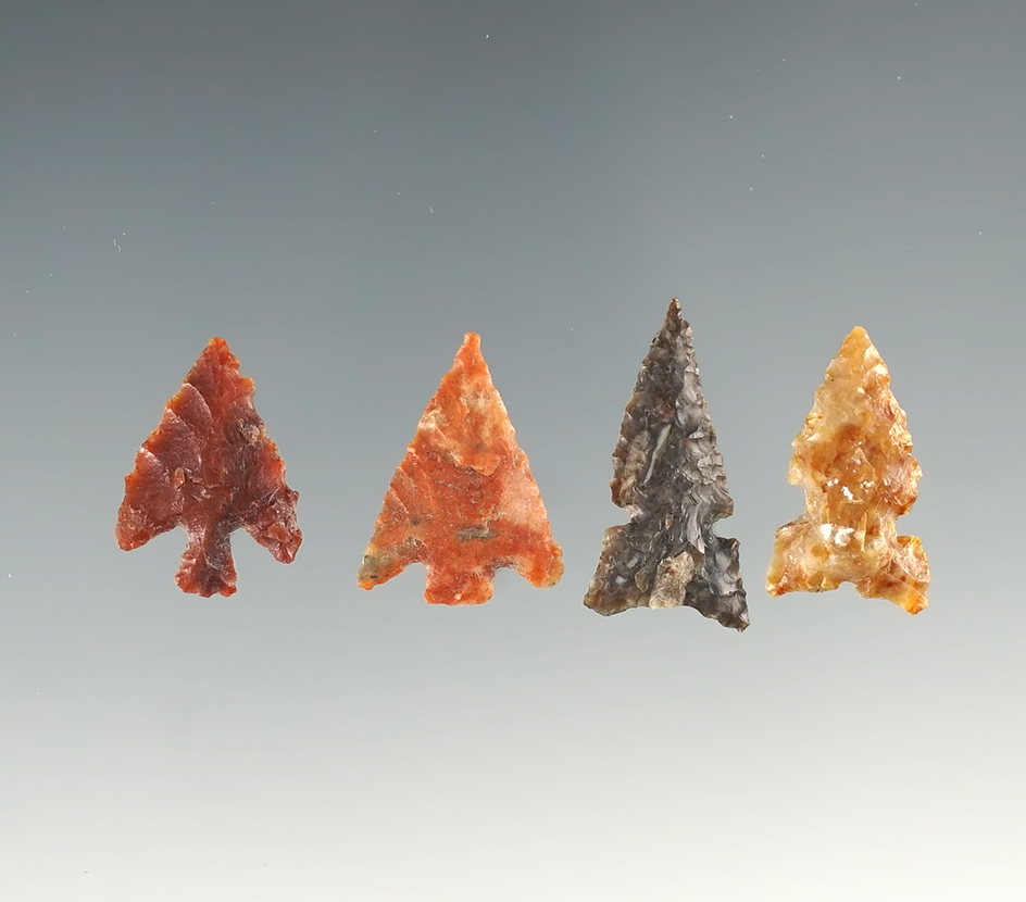 Set of four assorted Columbia River arrowheads. Largest is 15/16".