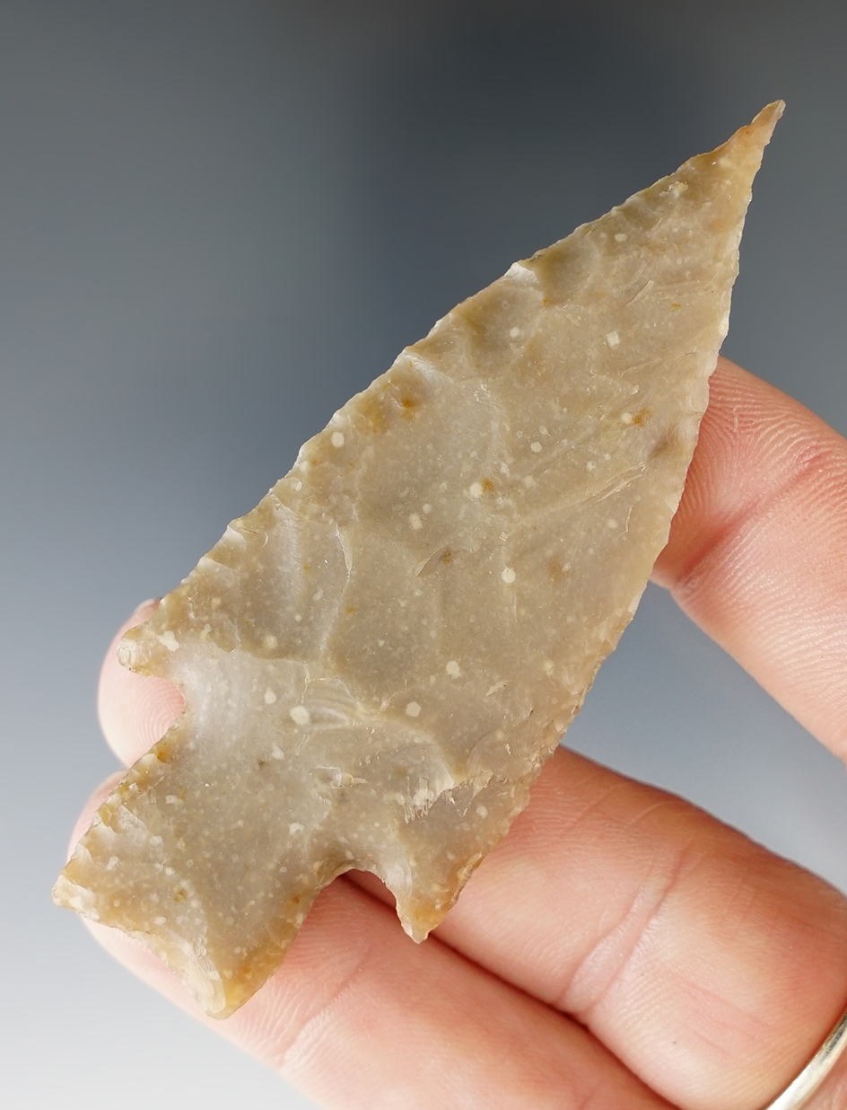 2 15/16" Oakalla made from brown-tan chert, found in Williamson Co., Texas. Rogers COA.