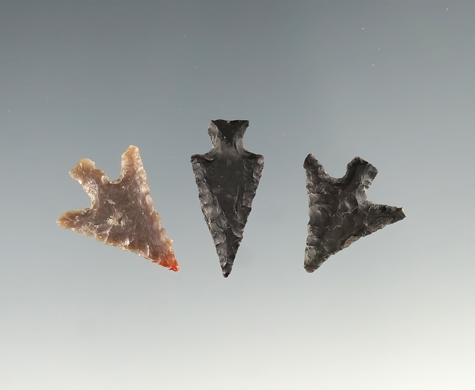 Set of three assorted Columbia River arrowheads. Largest is 7/8".