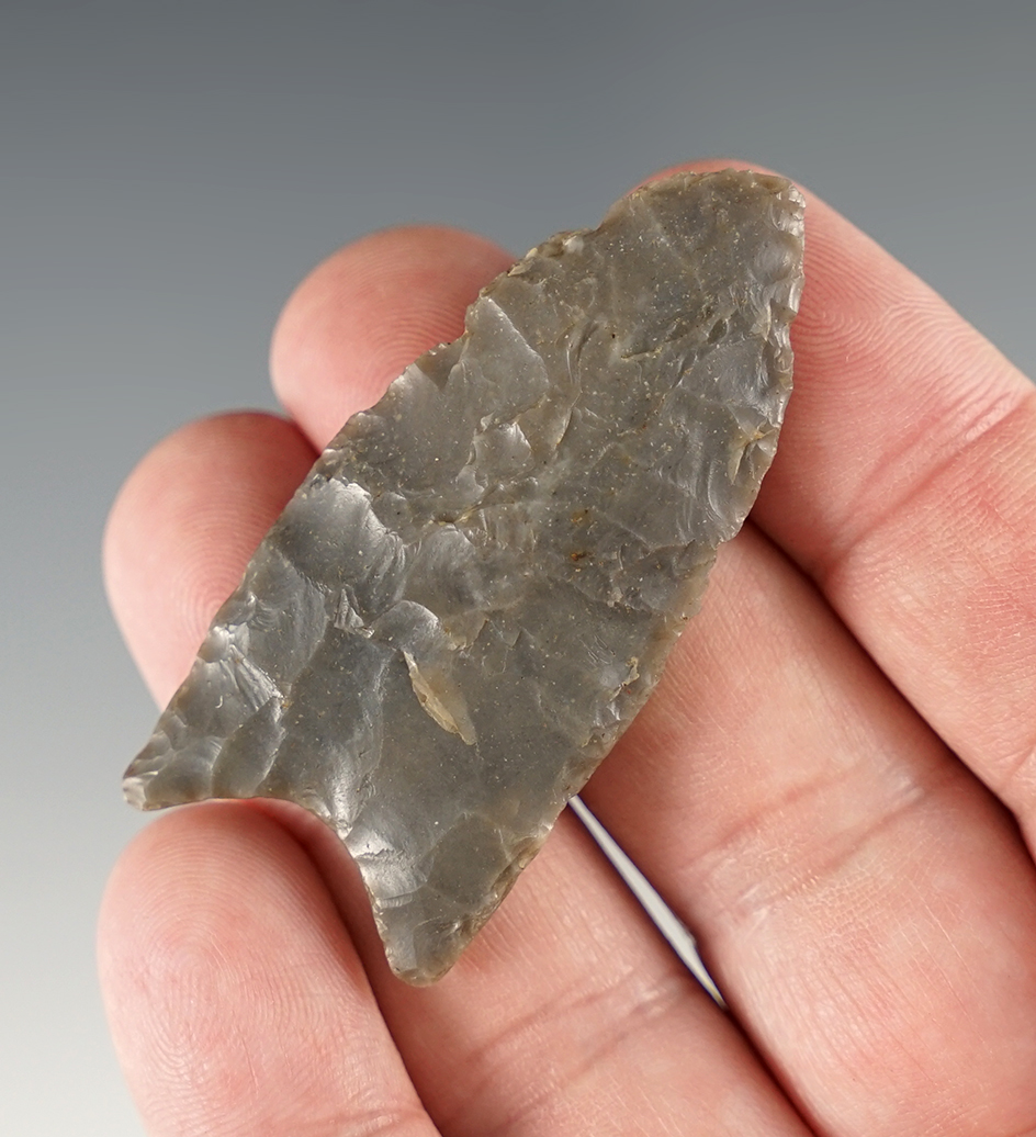 2 3/16" Paleo fluted Clovis found in Illinois.