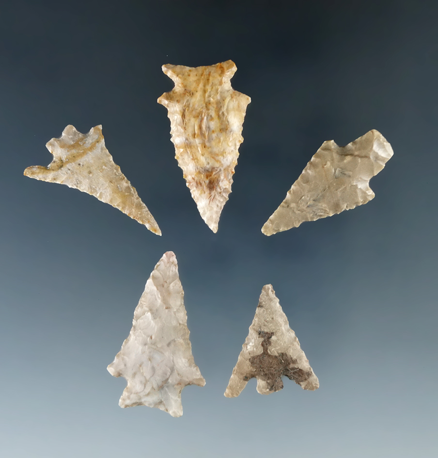 Set of five arrowheads found at the Herzog site on Lake River, Clark Co., Washington.