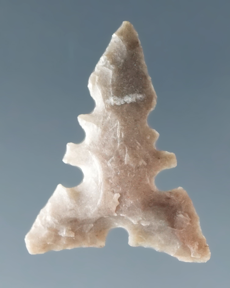 1" Toyah made from Gray Fossil Chert, found in Texas. Ex. Charles Shewey, David Bogle Collections. C