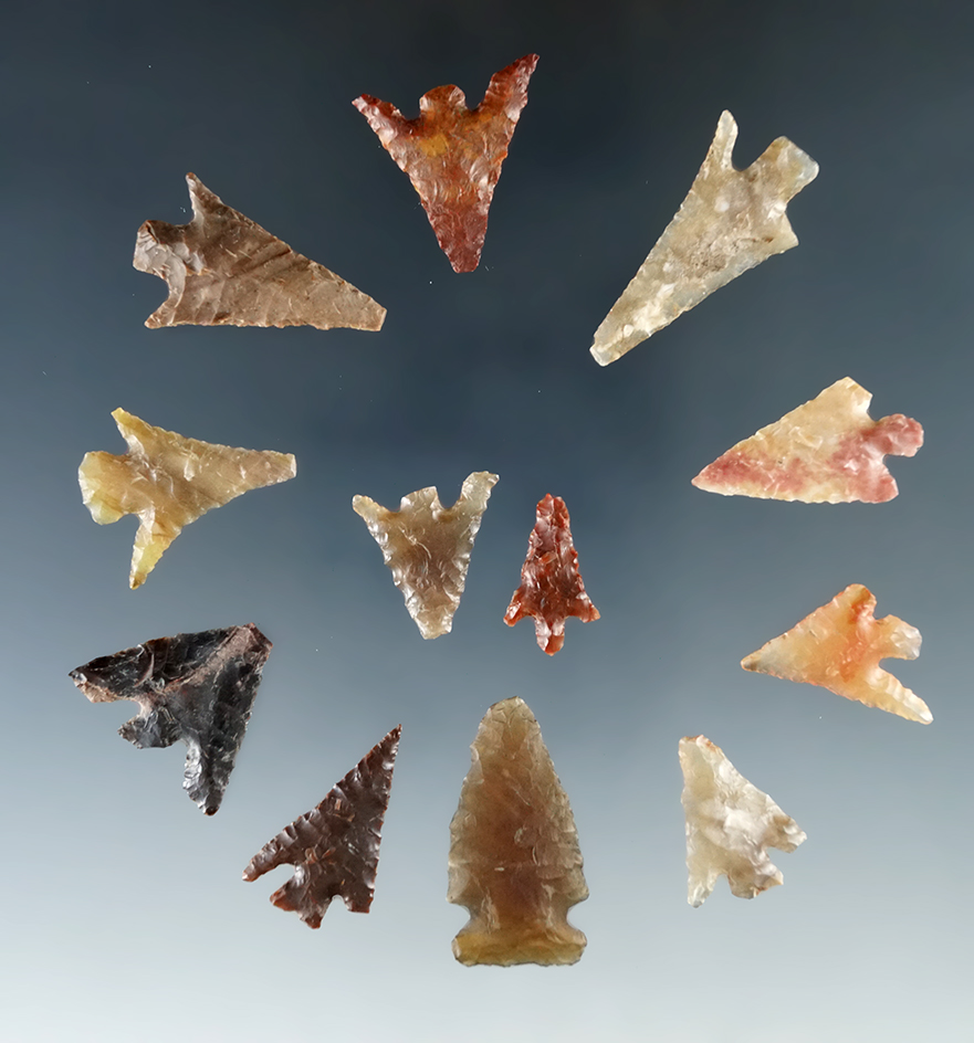 Group of 12 Gempoints, largest is 1 1/16". Found by Charles Krohn at the Ohbe site, WA.