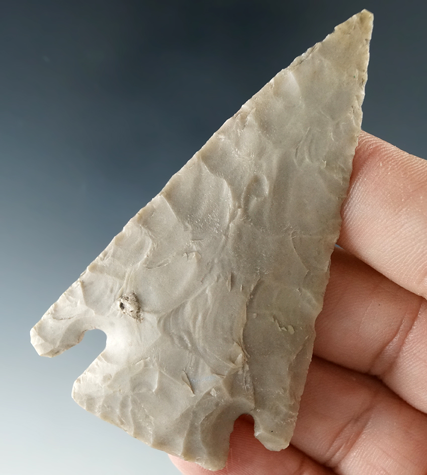 2 3/4" Castroville that is thin and very well flaked found in Burnet Co., Texas by Bill Arnold.