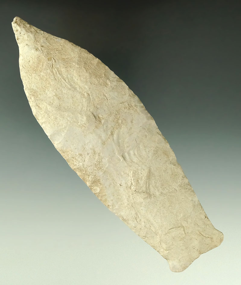 Pictured! 6 1/4" Pike County - Burlington chert found in Benton Co., Missouri. 2 COA's.