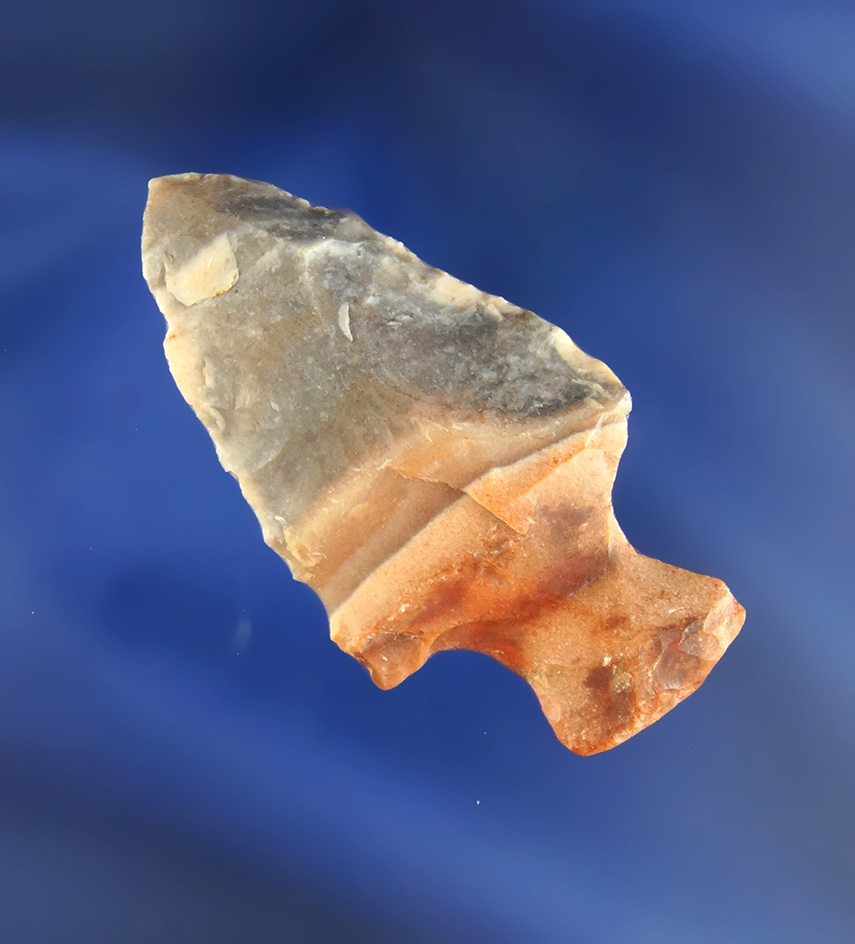 1 15/16" Flint Ridge Flint Bottleneck found in Knox Co.,  Ohio.