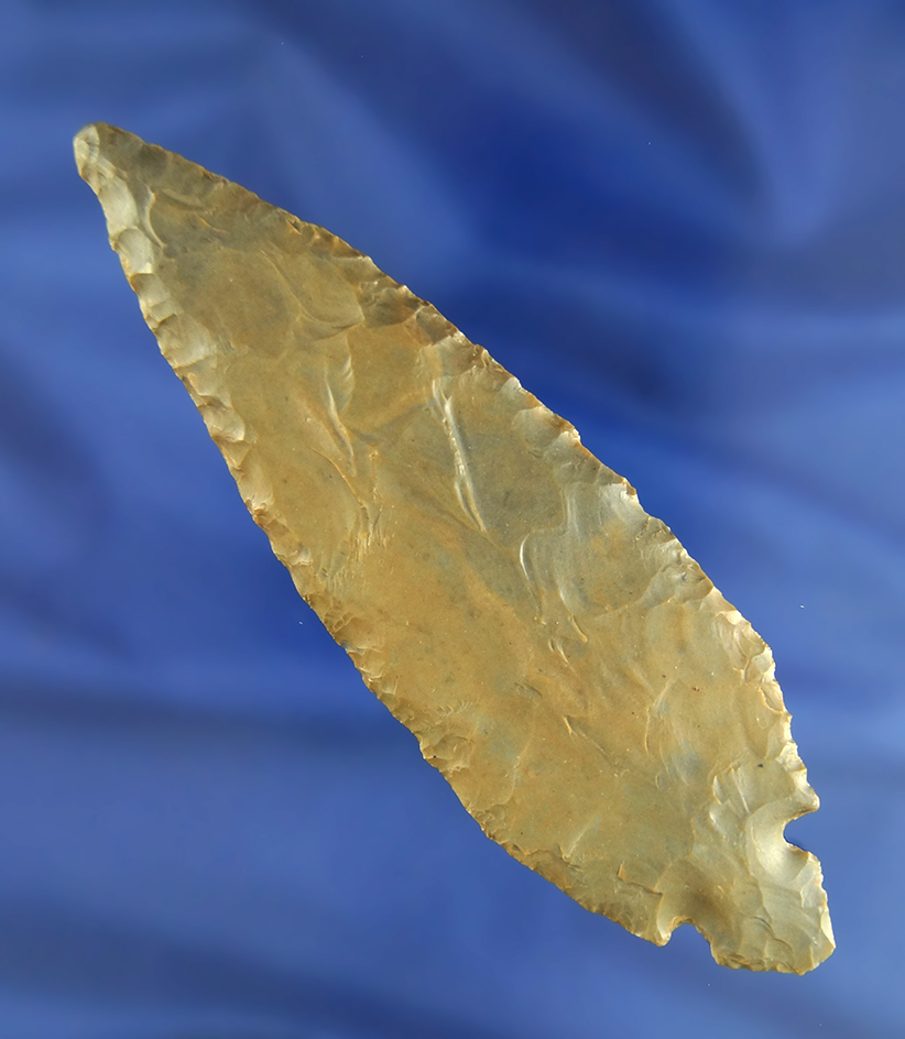 4 7/8" Hornstone Turkeytail found in Western Ohio.