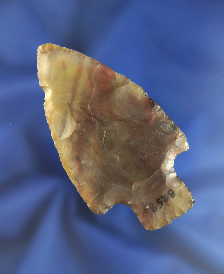 Thin, well flaked and classic style 2 15/16" Late Adena found and Ohio. Ex. C. Smith collection.