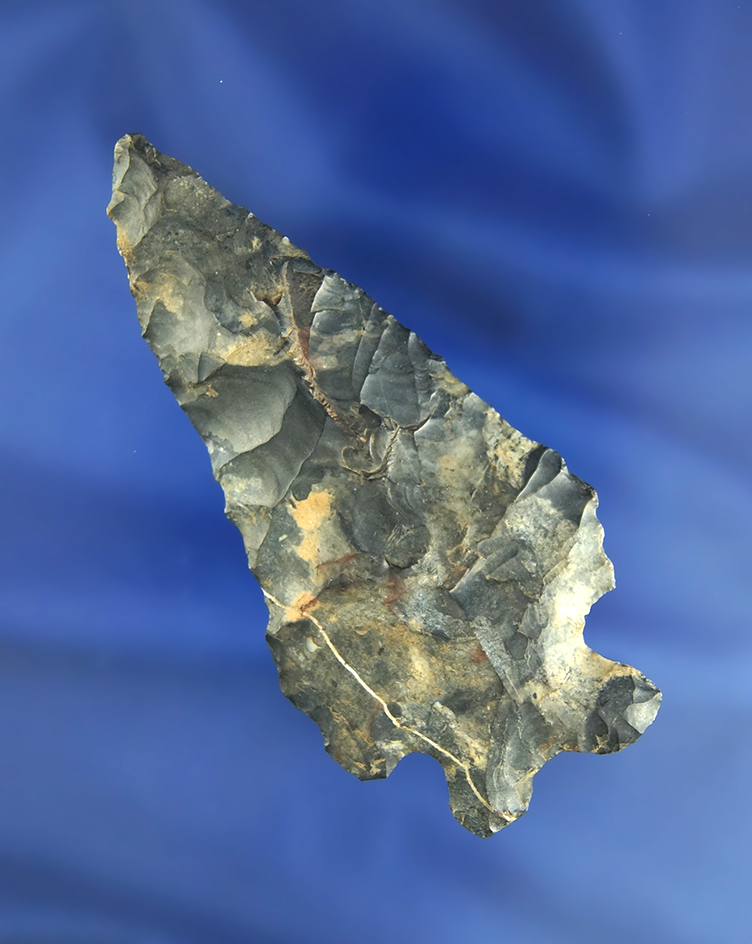 3 5/16" Coshocton Flint Bifurcate found in Licking Co.,  Ohio.