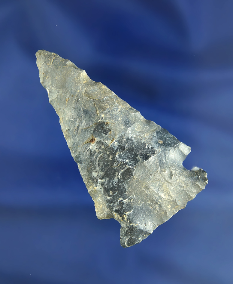 2 7/8" Coshocton Flint Meadowood found in Licking Co.,  Ohio.