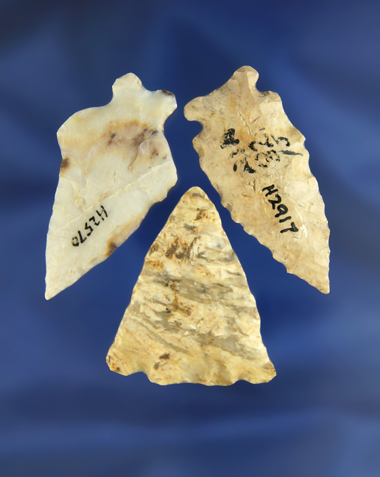 Set of three Archaic Points found in Ohio, largest is 1 7/8". Ex. Jim Hovan collection.