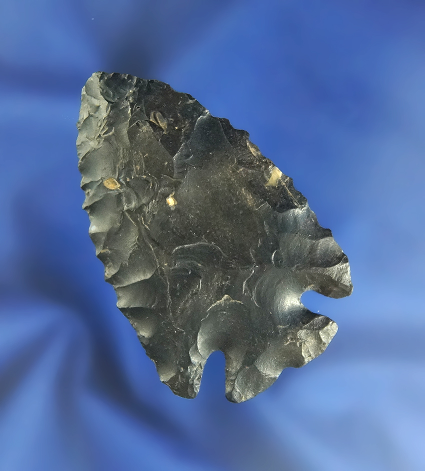 2 7/16" Coshocton Flint Notched Base Dovetail found in Ohio. Ex. Macy Halleck collection.