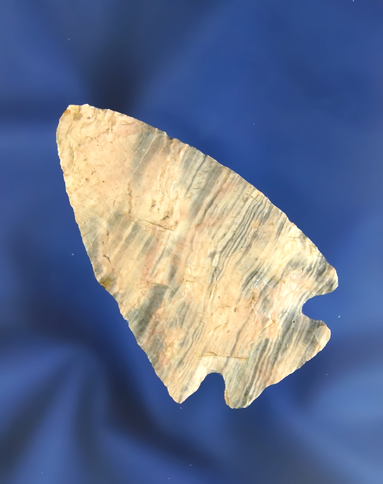 2 5/16" Nethers Flint Pentagonal found in Perry Co.,  Ohio.