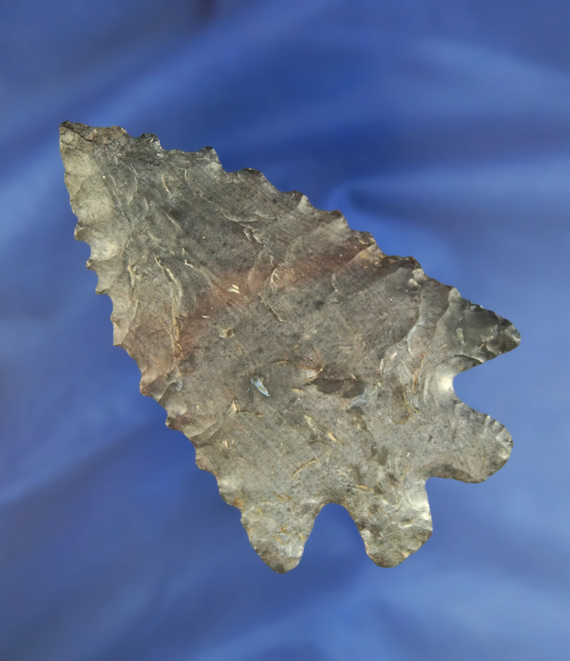 3 3/4" by 2 5/16" Archaic Bifurcate that is nicely serrated found in Coshocton Co.,  Ohio. Bennett C