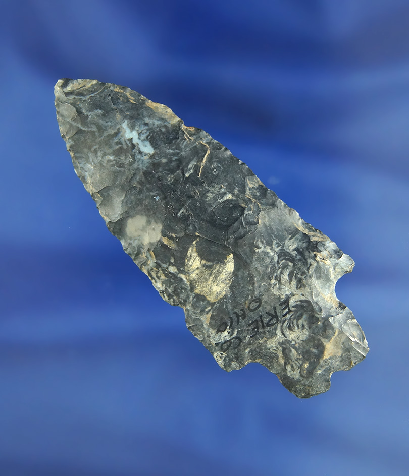 3 1/16" Coshocton Flint Notched Base Bifurcate found in Erie Co.,  Ohio