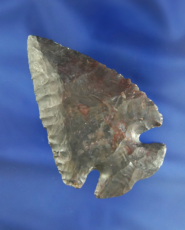 3 1/16" Notched Base Dovetail with restoration to 1" of tip  and one basal corner - Richland Co.,  O