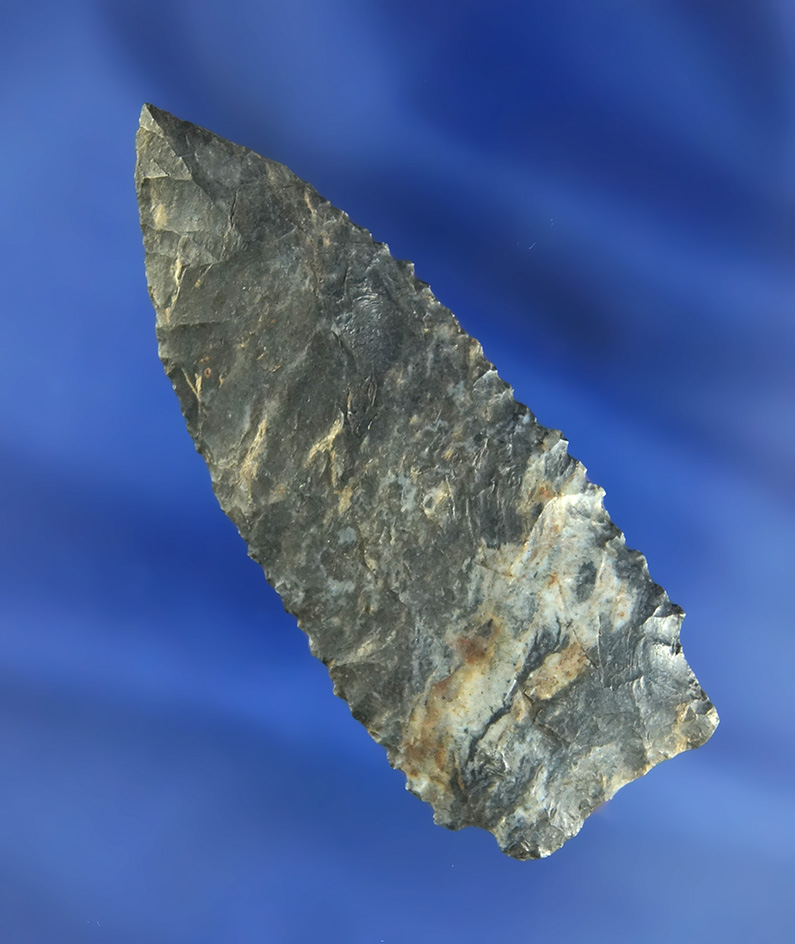 2 3/4" Coshocton Flint nicely serrated transitional Archaic Weak Stemmed - Crawford Co.,  Ohio.