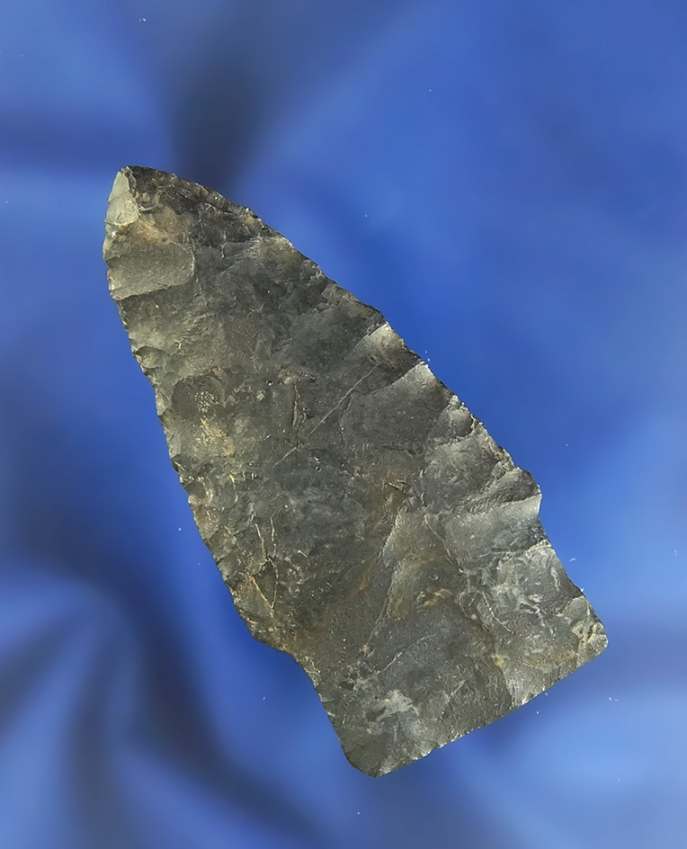 2 1/2" Scottsbluff style Stemmed Paleo Lanceolate found in Medina Co.,  Ohio. Bennett COA