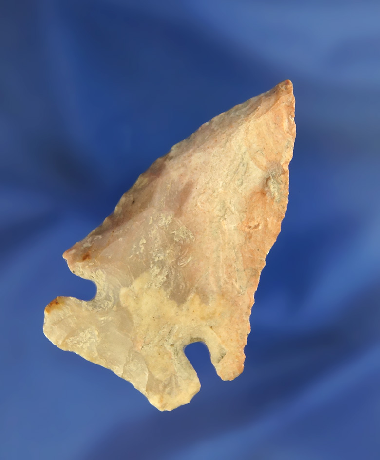 2 1/2" Archaic Thebes Bevel made from attractive multicolored Flint Ridge Flint - Knox Co., Ohio.