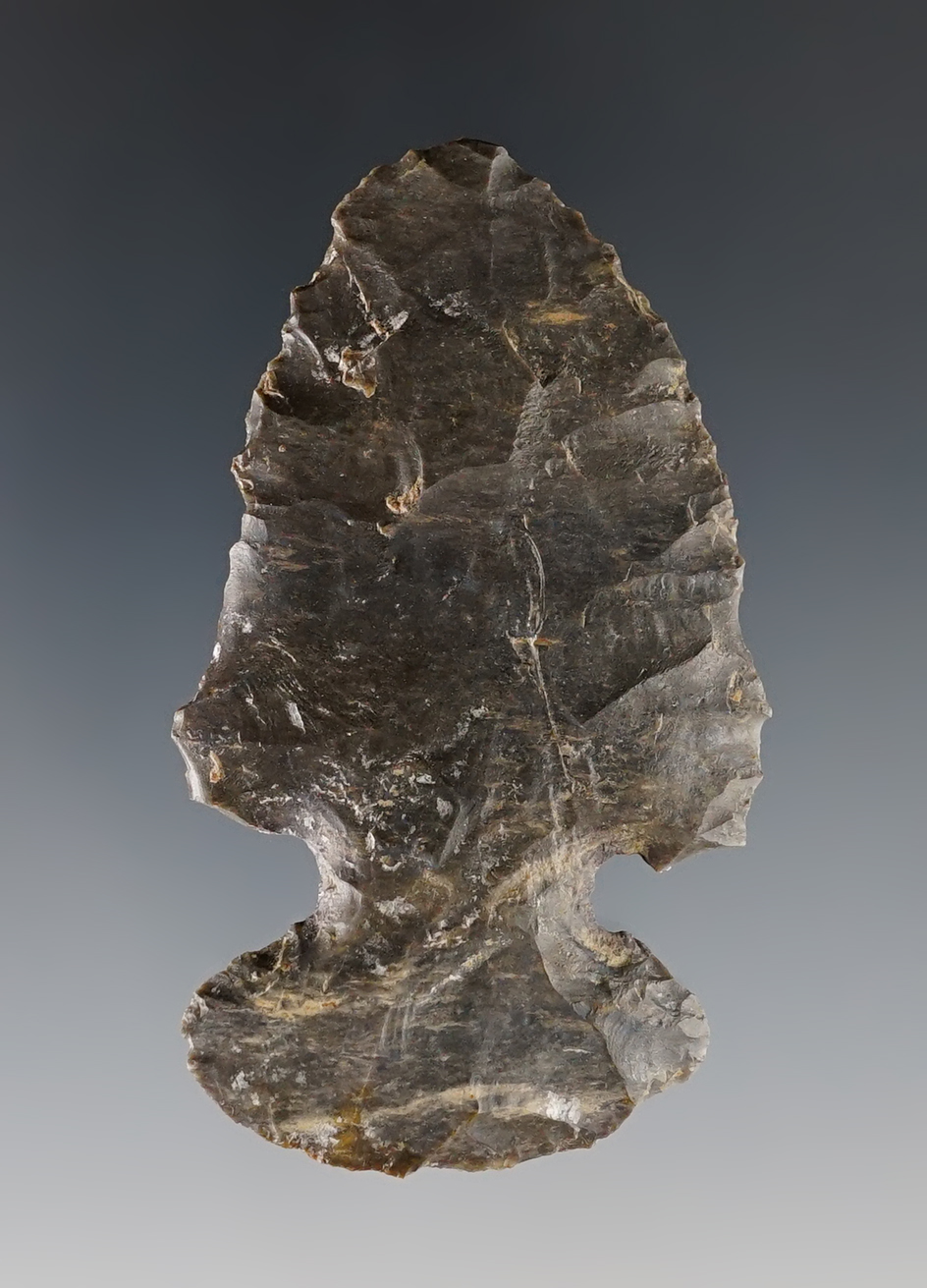 2 3/4" Archaic Coshocton "dog leg" Thebes Bevel. Found in Central Ohio.