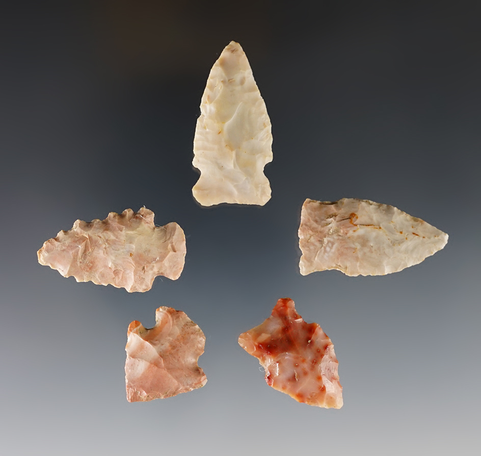 Five colorful Ohio Flint Ridge Points found in Crawford and Richland Counties. Largest is 1 5/8".