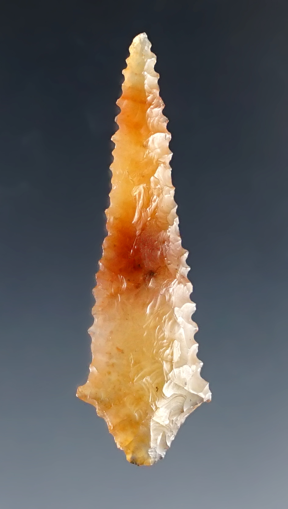 Exceptional flaking and style on this 1 11/16" Rabbit Island Dart with excellent serrations. 