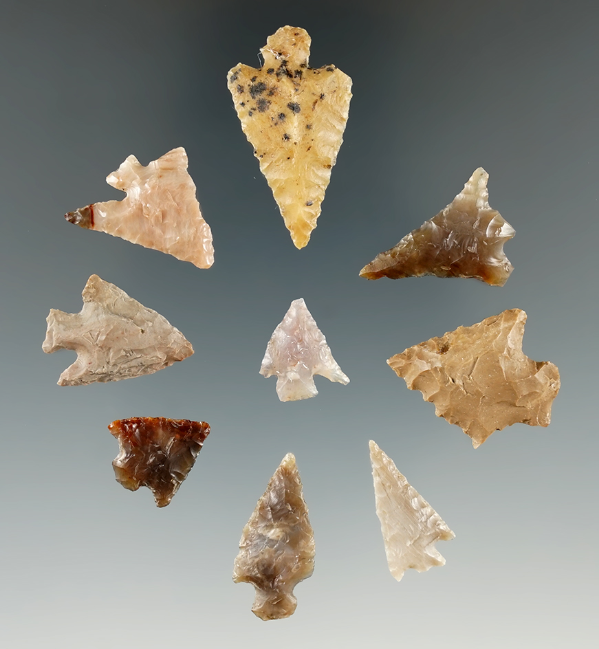 Group of nine assorted arrowheads found near the Columbia River, Klickitat Co., Washington.