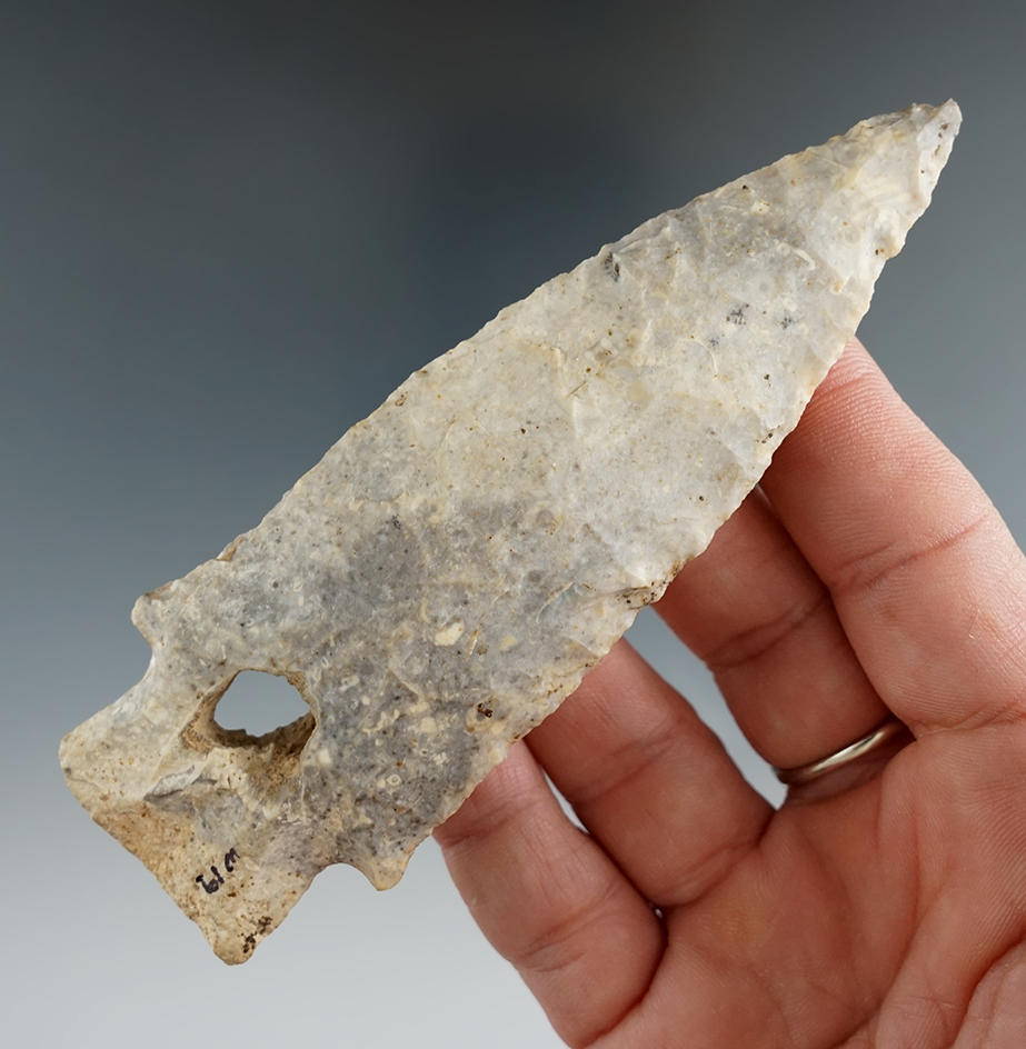 4 1/2" Etley found in Cooper Co., Missouri. Ex. Don Lamm. Comes with a Motley COA.