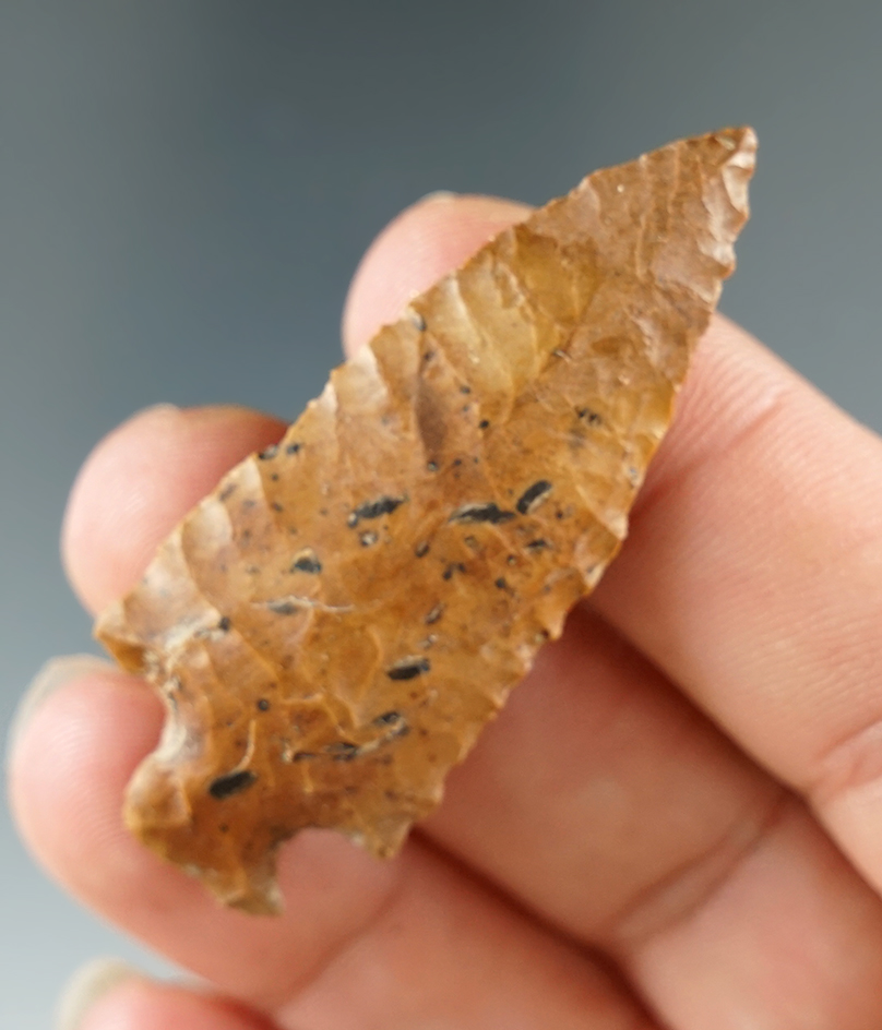 Beautifully flaked 2" Cornernotch arrowhead - attractive Jasper - Hood River, Oregon.