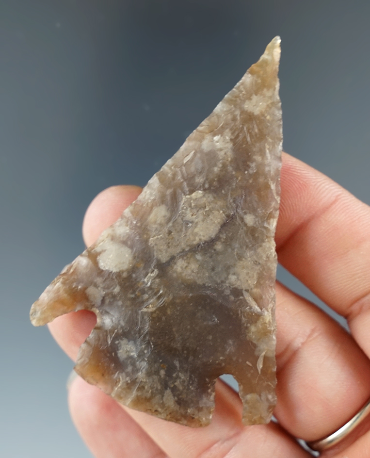 2 5/8" Castroville that is nicely flaked from beautiful semi-translucent material - Texas.