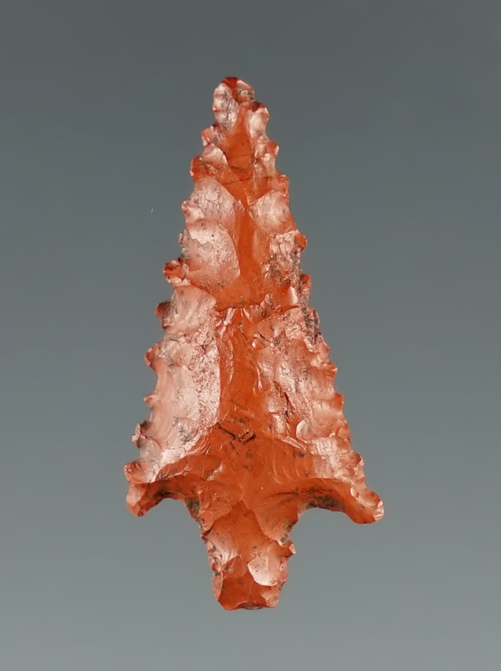 1" Columbia River Gem point with nicely serrated edges found near the Hood River, Oregon.