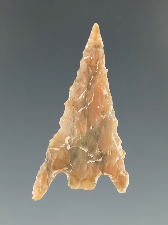 Ex. Museum! 1 1/2" Gunther found in southern Oregon.