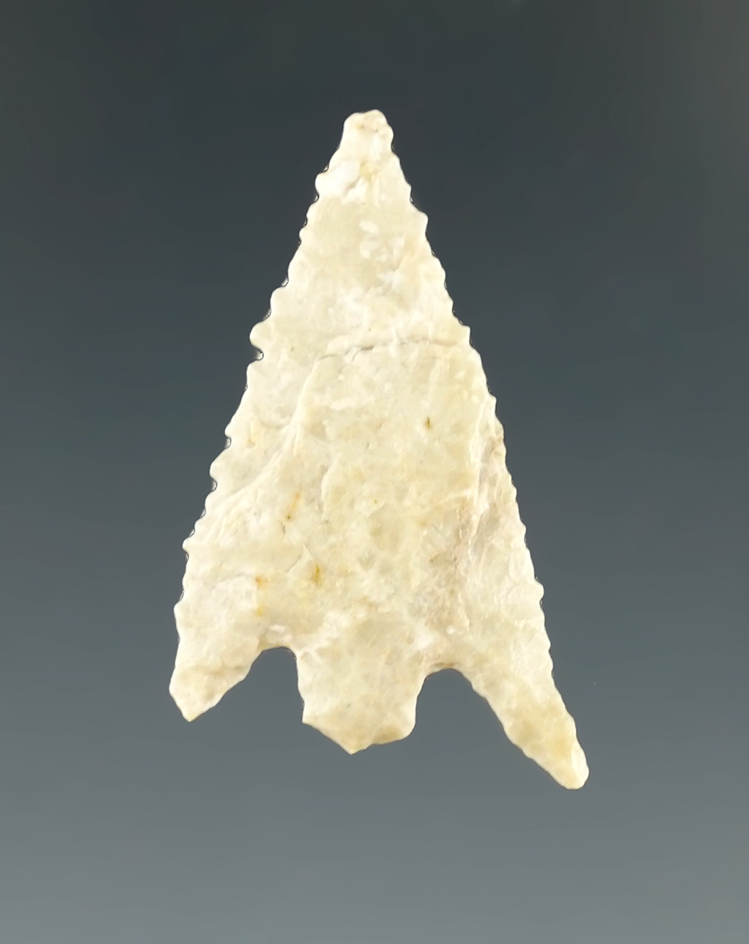 1 3/16" Gunther with nice micro-serrations along the blade edges found in southern Oregon.