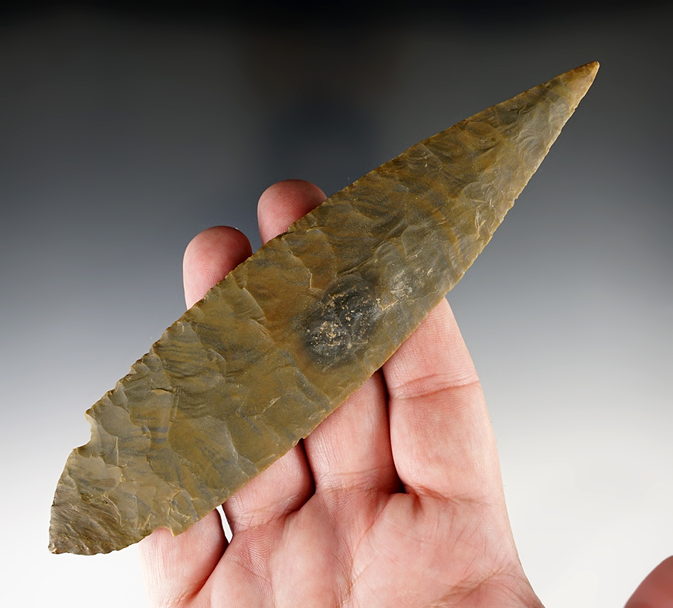 Incredible Flaking! 6 7/8" paper-thin Turkey Tail with restoration to 1/2 of base - Kentucky.