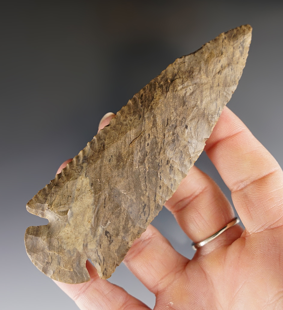 3 7/16" Beautifully flaked Dovetail with excellent mineral deposits on surface.  Tennessee.