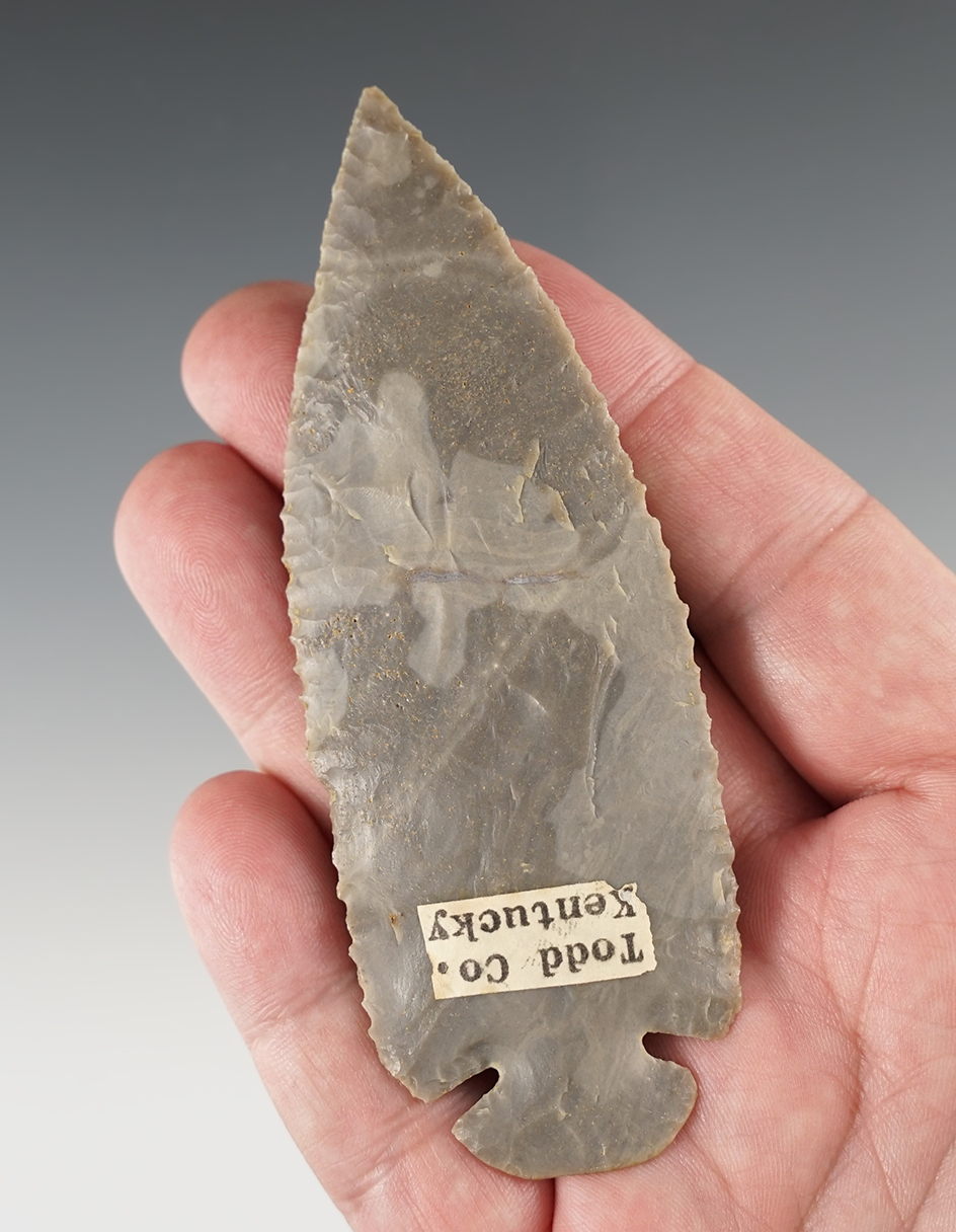 Exceptional flaking and style on this 4 1/4" nicely serrated Dovetail. Found in Todd Co., Kentucky.