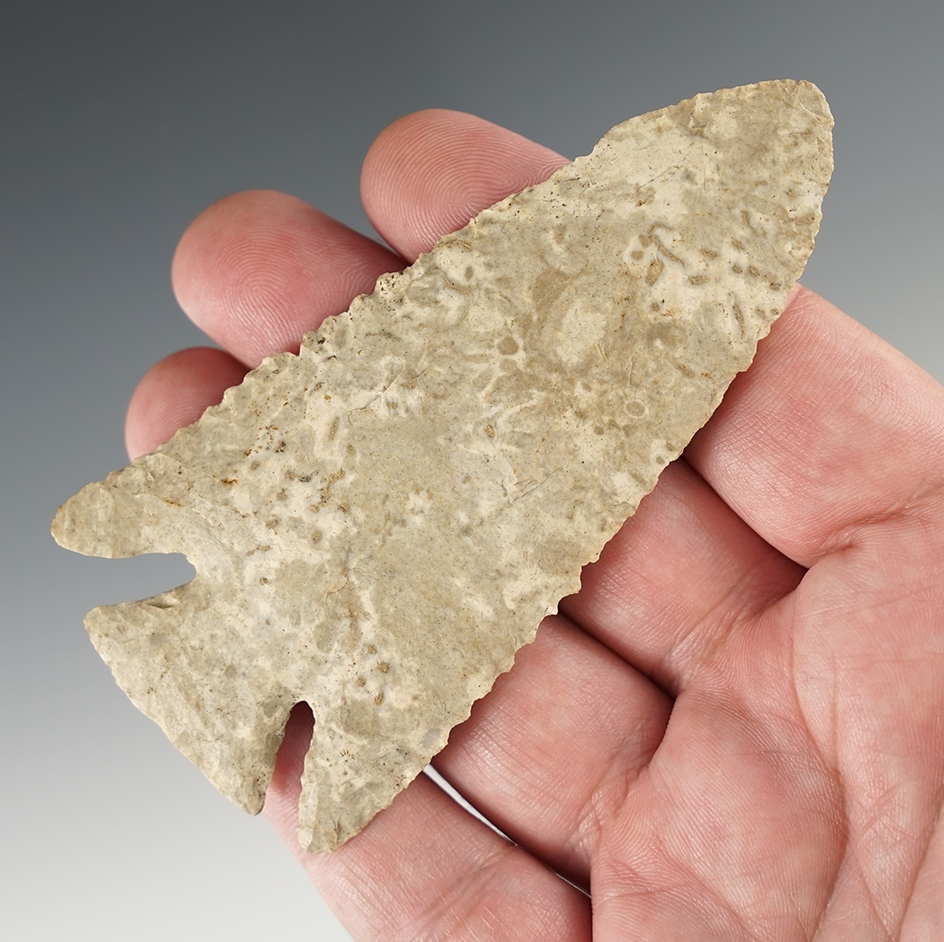 3 15/16" Lost Lake with exceptional flaking and style found in Logan Co., Kentucky.